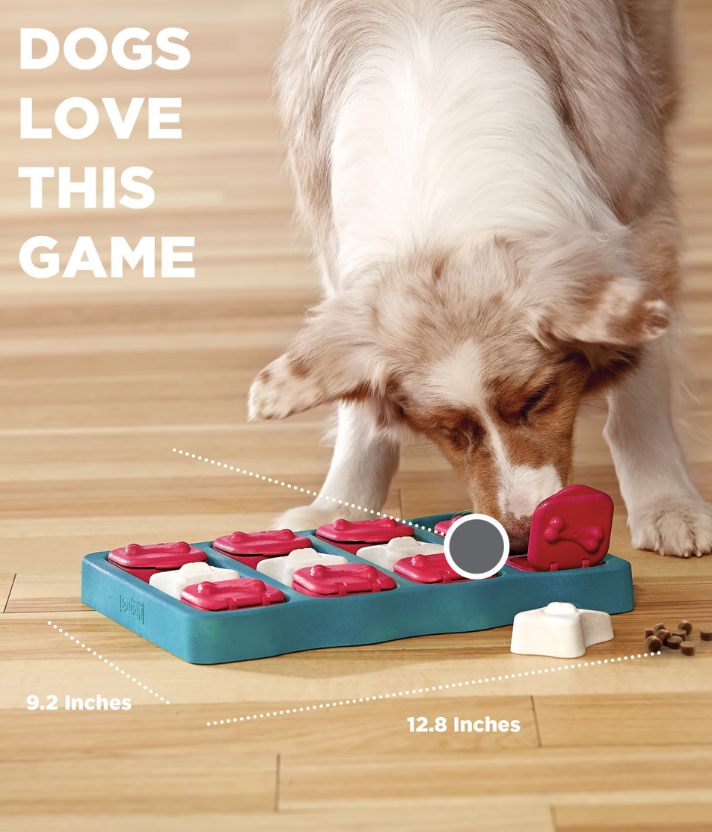 Brick Interactive Treat Puzzle Dog Toy