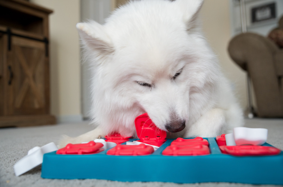 Brick Interactive Treat Puzzle Dog Toy