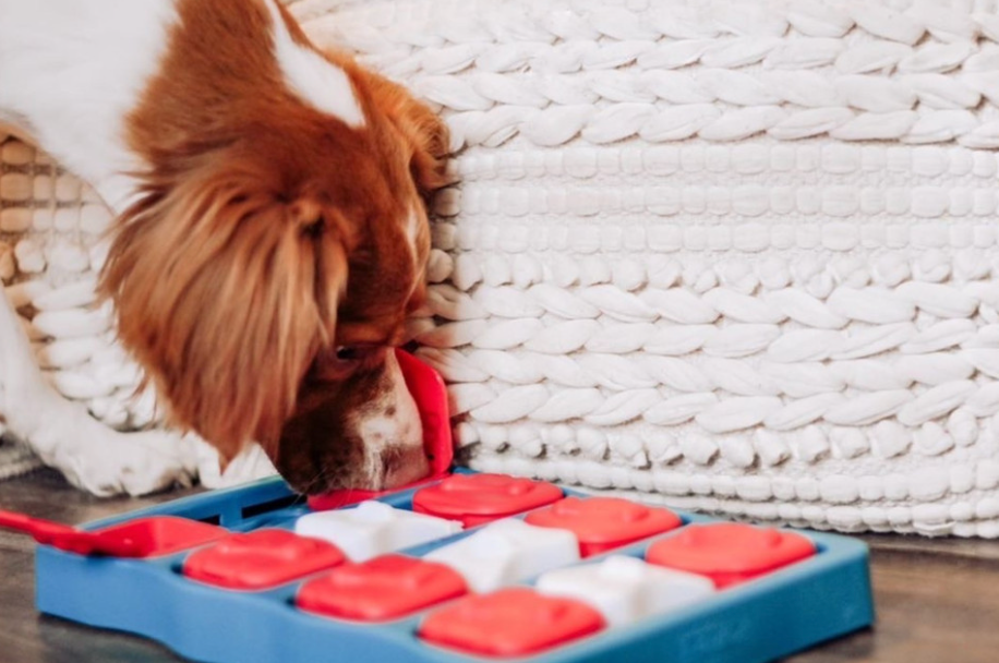 Brick Interactive Treat Puzzle Dog Toy