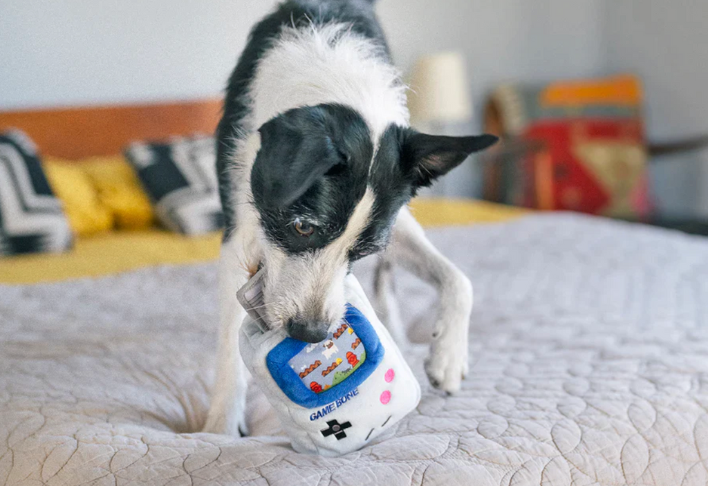 90s Classics Game Bone Toy