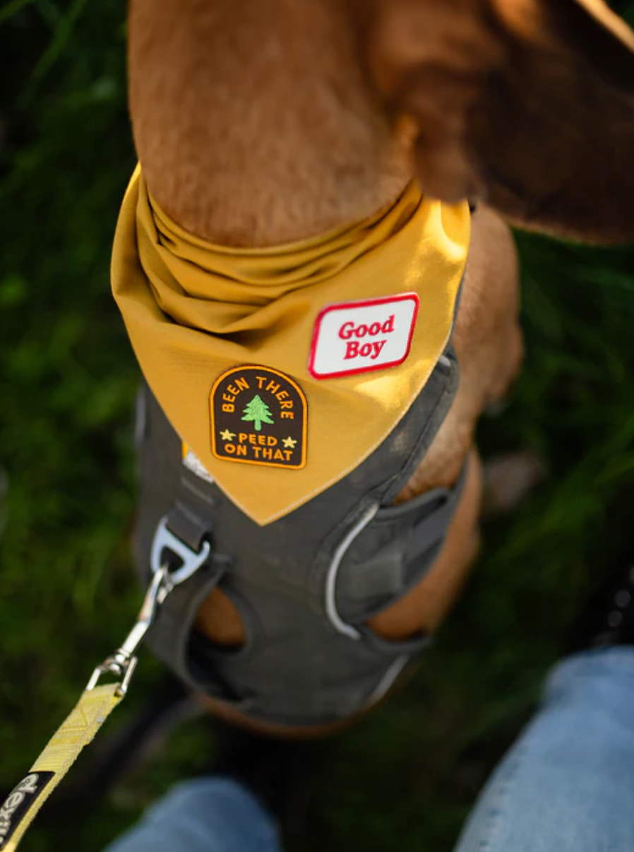 Been There Peed on That Iron-on Patch