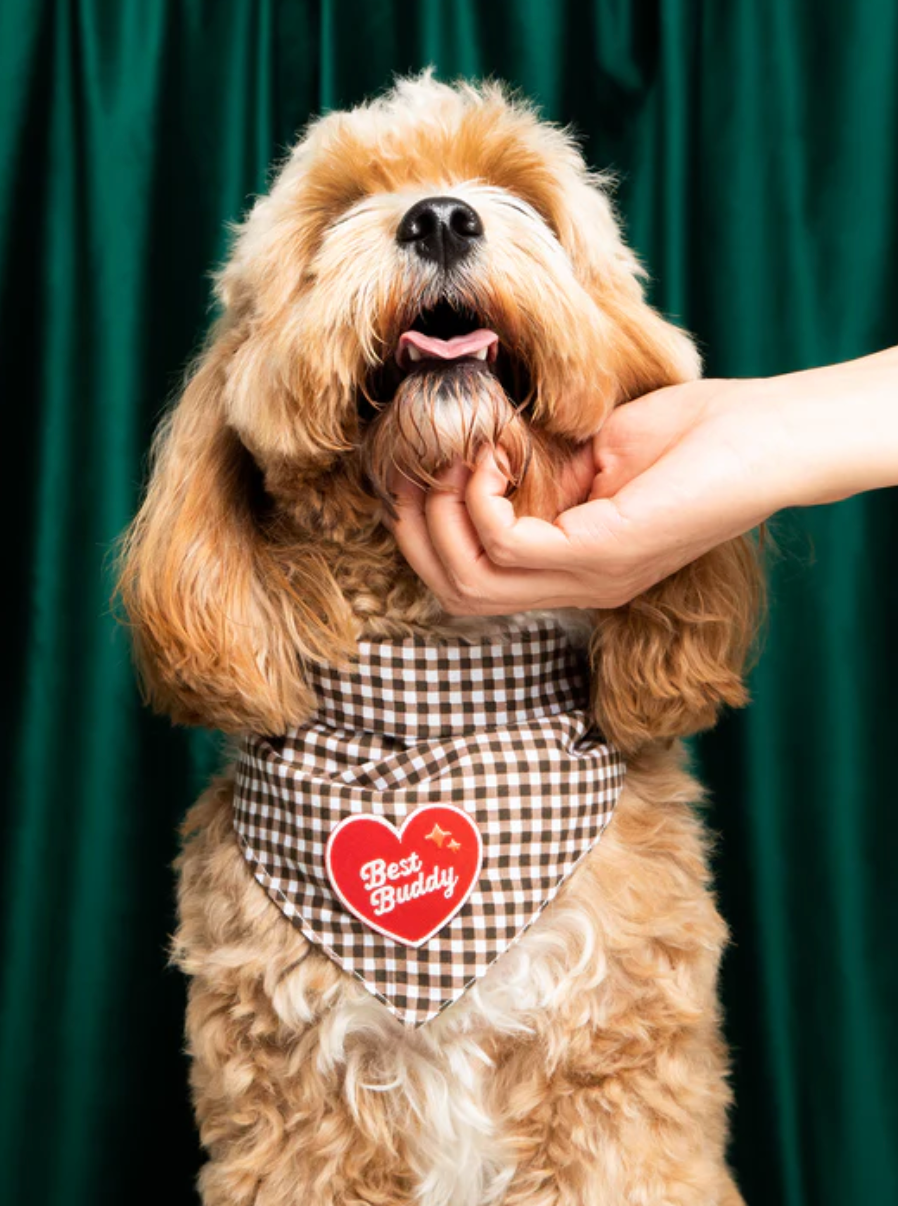 Best Buddy Iron-on Patch