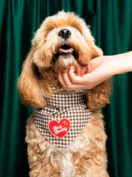 Best Buddy Iron-on Patch