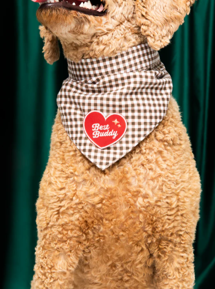 Best Buddy Iron-on Patch