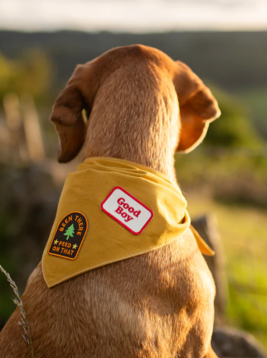 Good Boy Iron-on Patch
