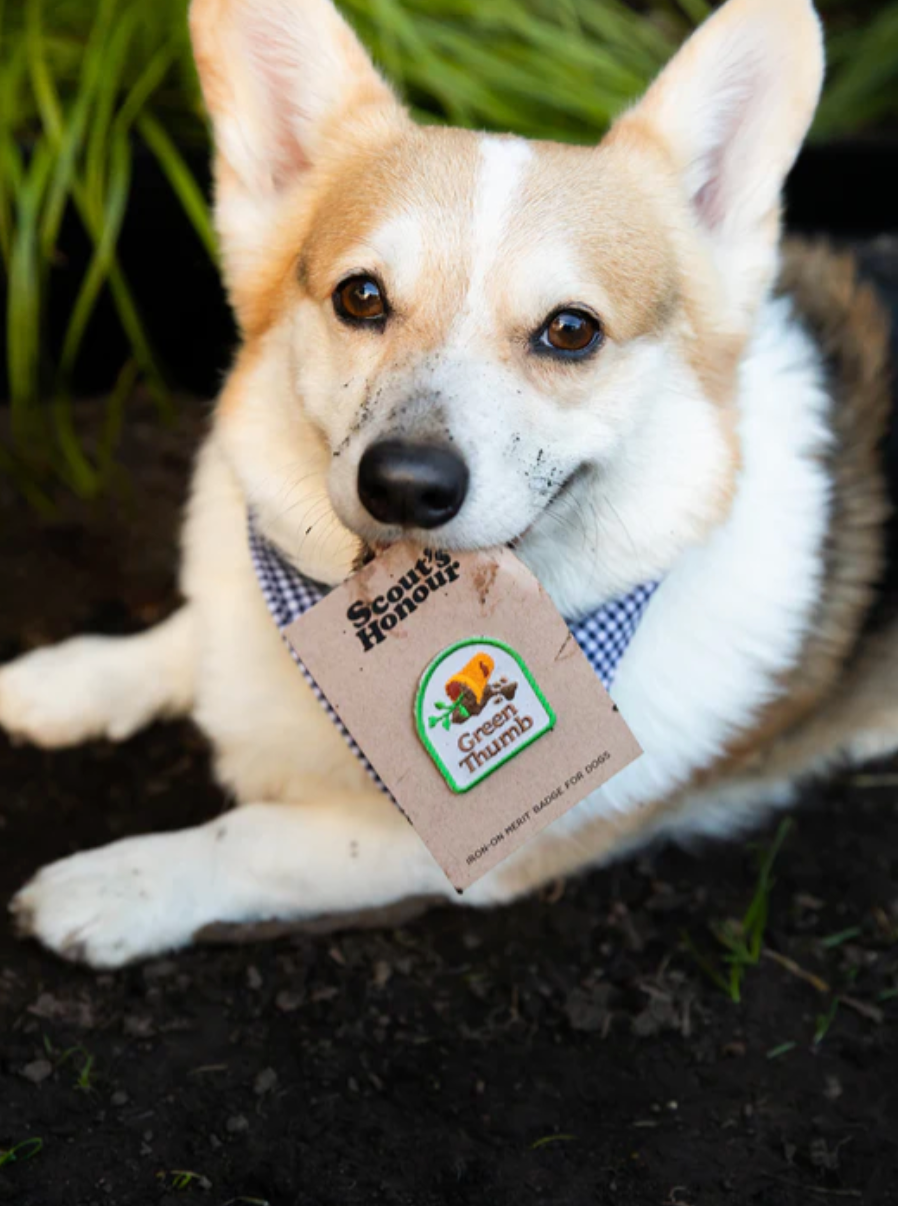 Green Thumb Iron-on Patch