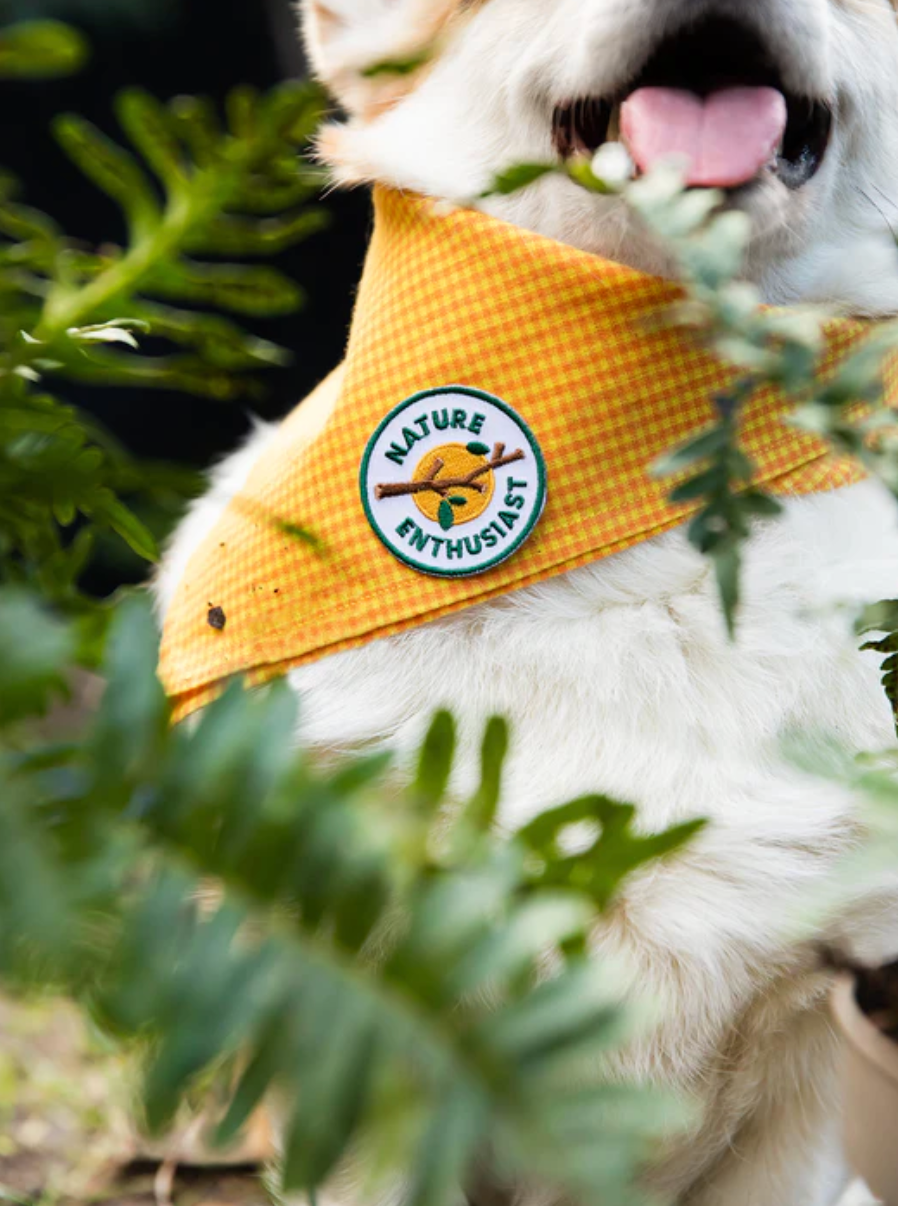 Nature Enthusiast Iron-on Patch