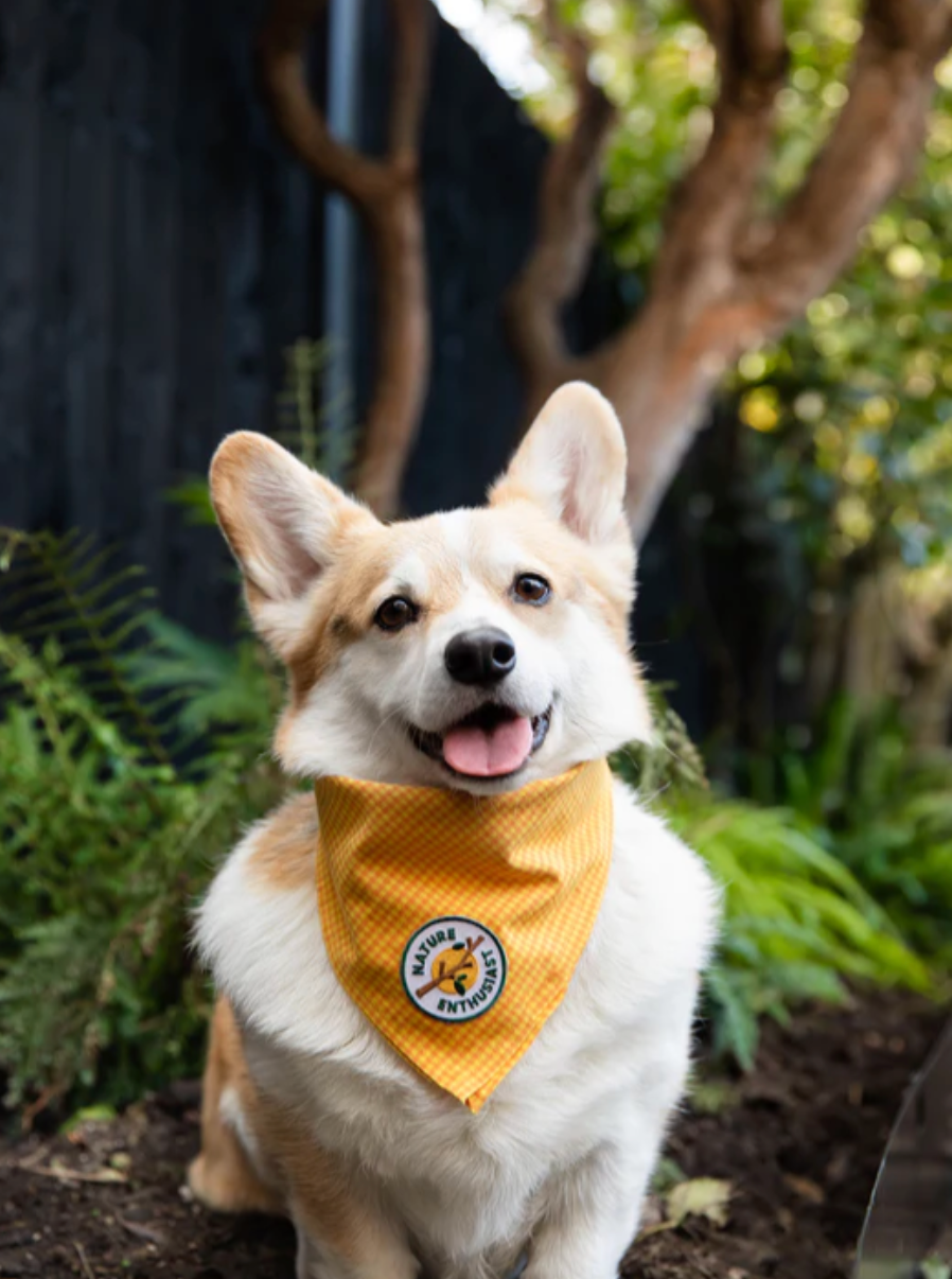 Nature Enthusiast Iron-on Patch