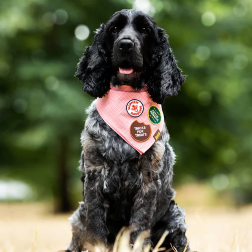 Sloppiest Smoocher Iron-on Patch