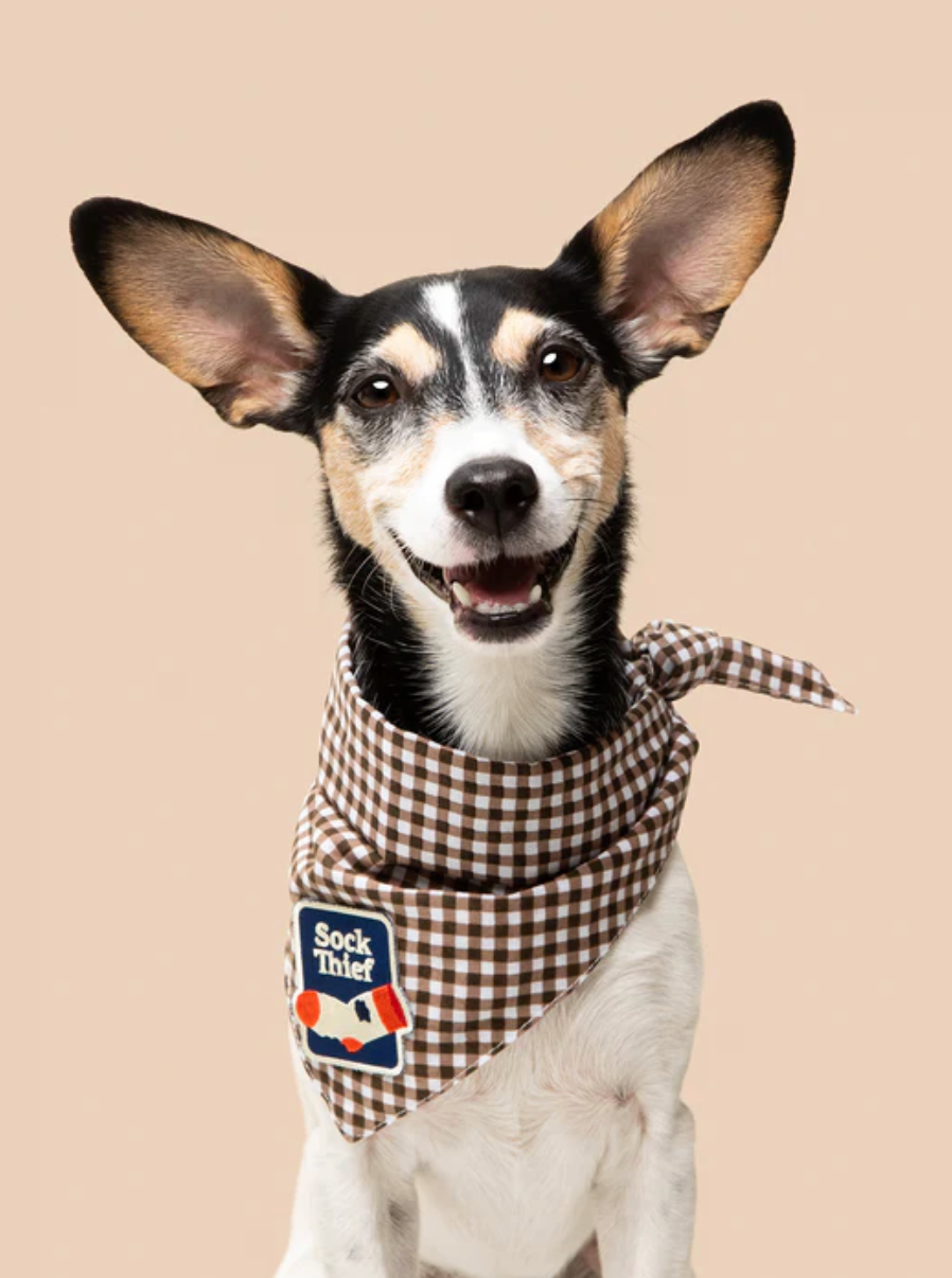 Sock Thief Iron-on Iron-on Patch