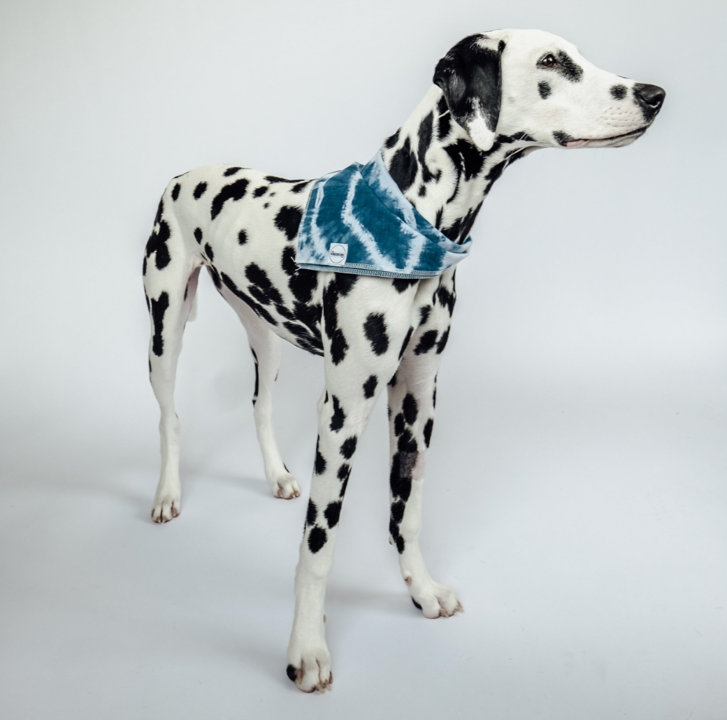 Hand Tie Dyed Bandana