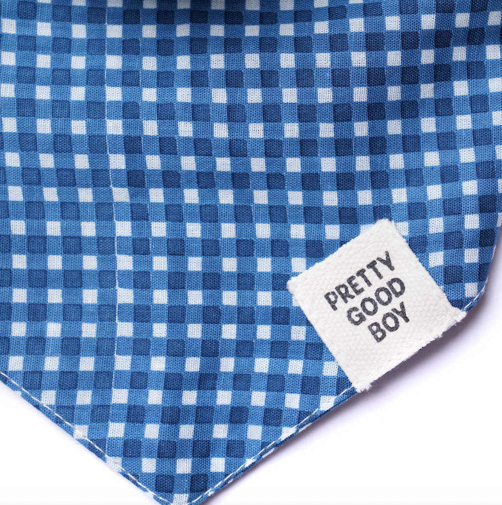 Blue Gingham Dog Bandana