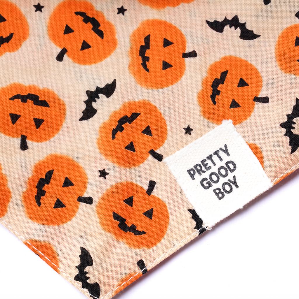Pupkin Halloween Dog Bandana