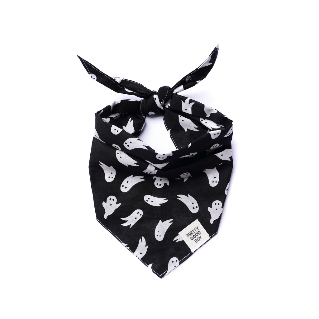 Shadow Halloween Dog Bandana