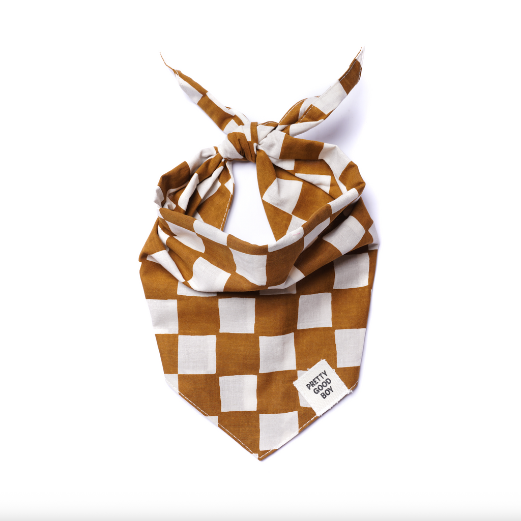 Cocoa Dog Bandana