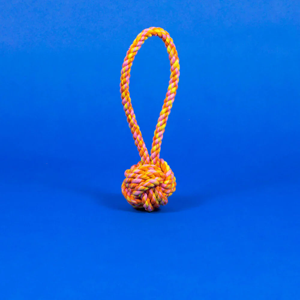 Rope Knot Toy