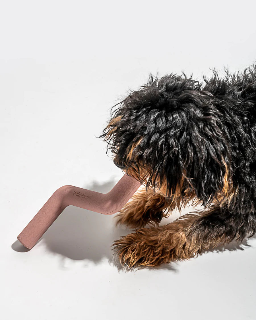 Bolt Bite Toy - Small