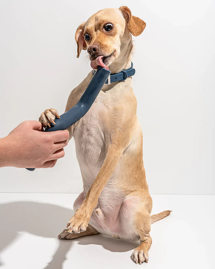 Bolt Bite Toy - Small