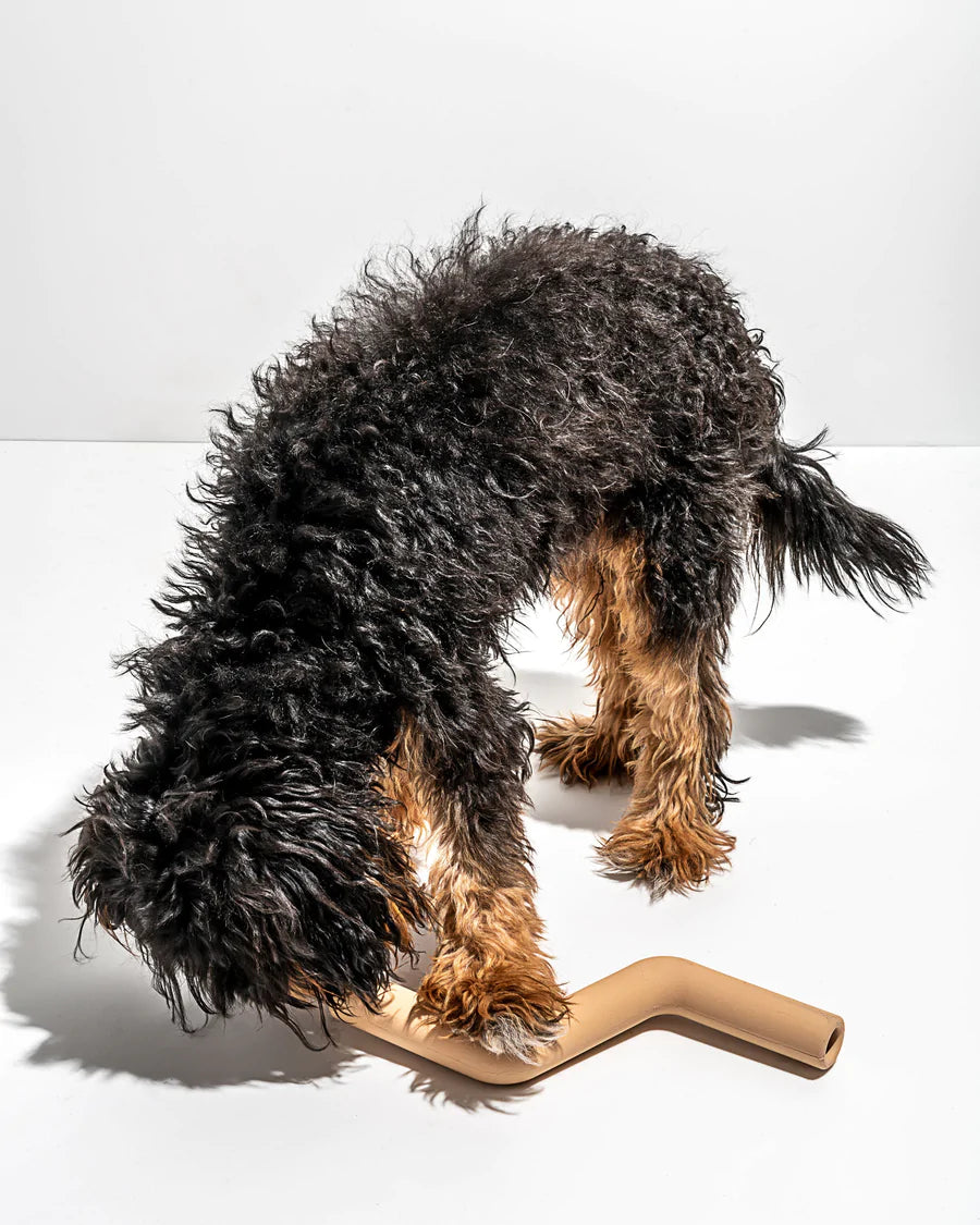 Bolt Bite Toy - Small