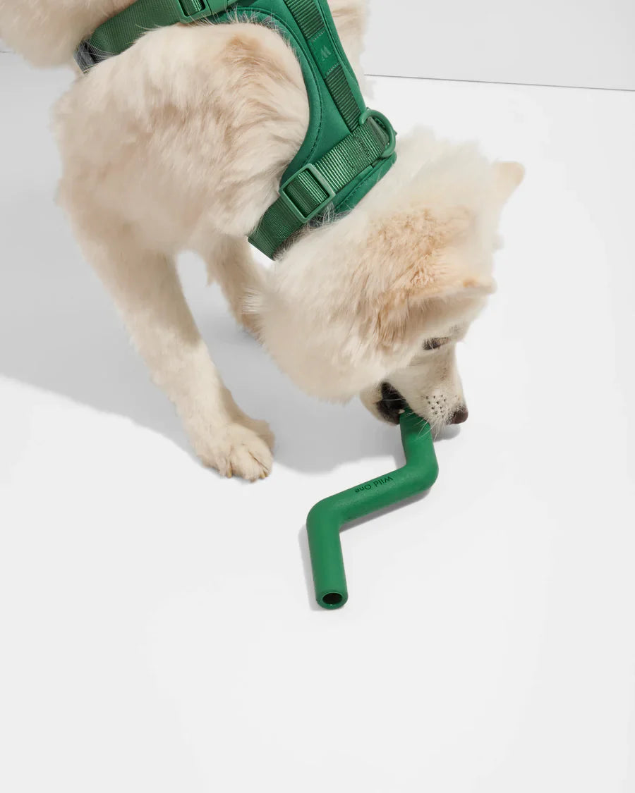 Bolt Bite Toy - Standard