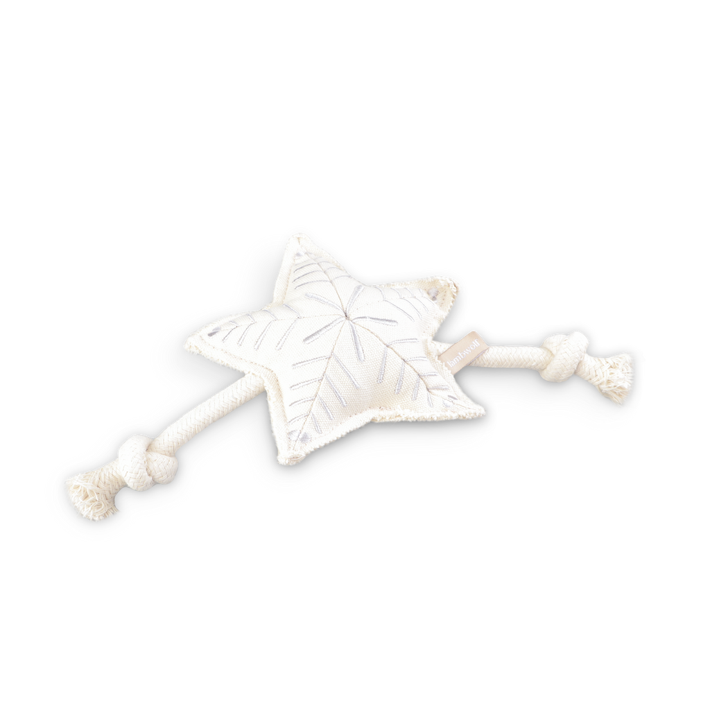 Holiday Star Christmas Dog Toy