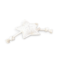 Holiday Star Christmas Dog Toy