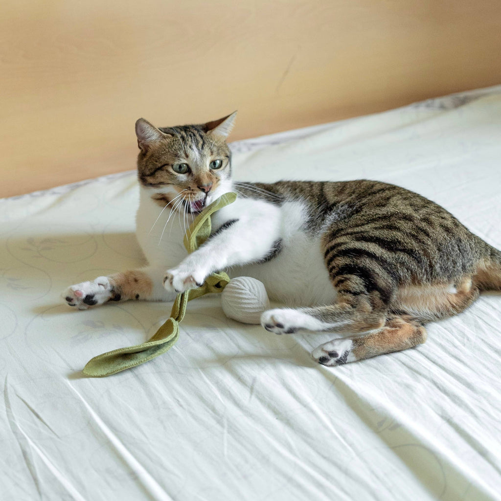 Kitty Radish Toy