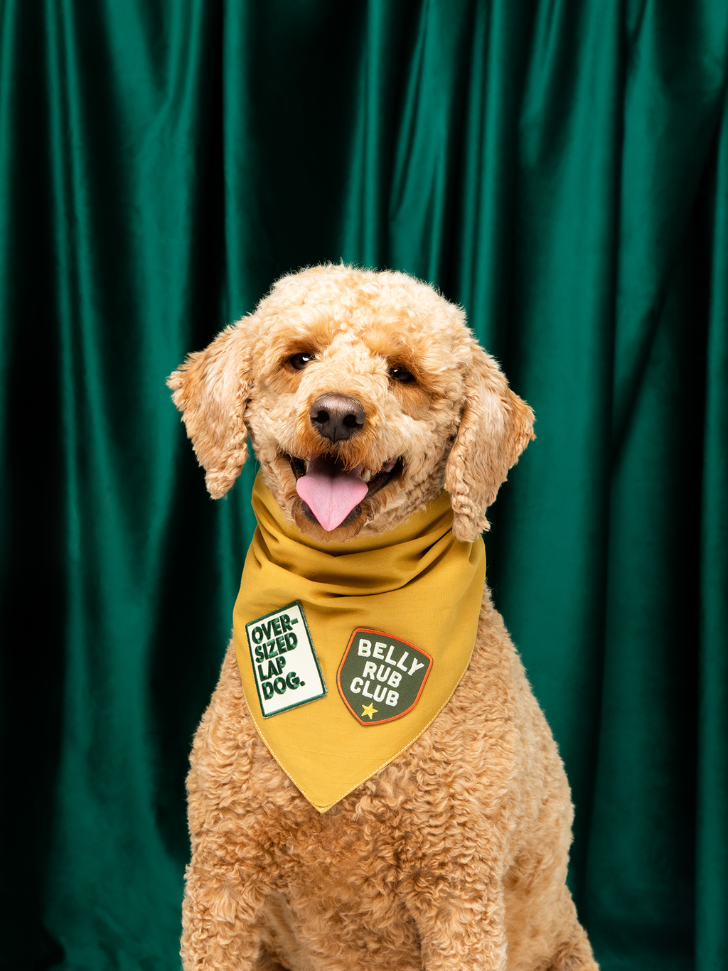 Belly Rub Club Iron-On Patch