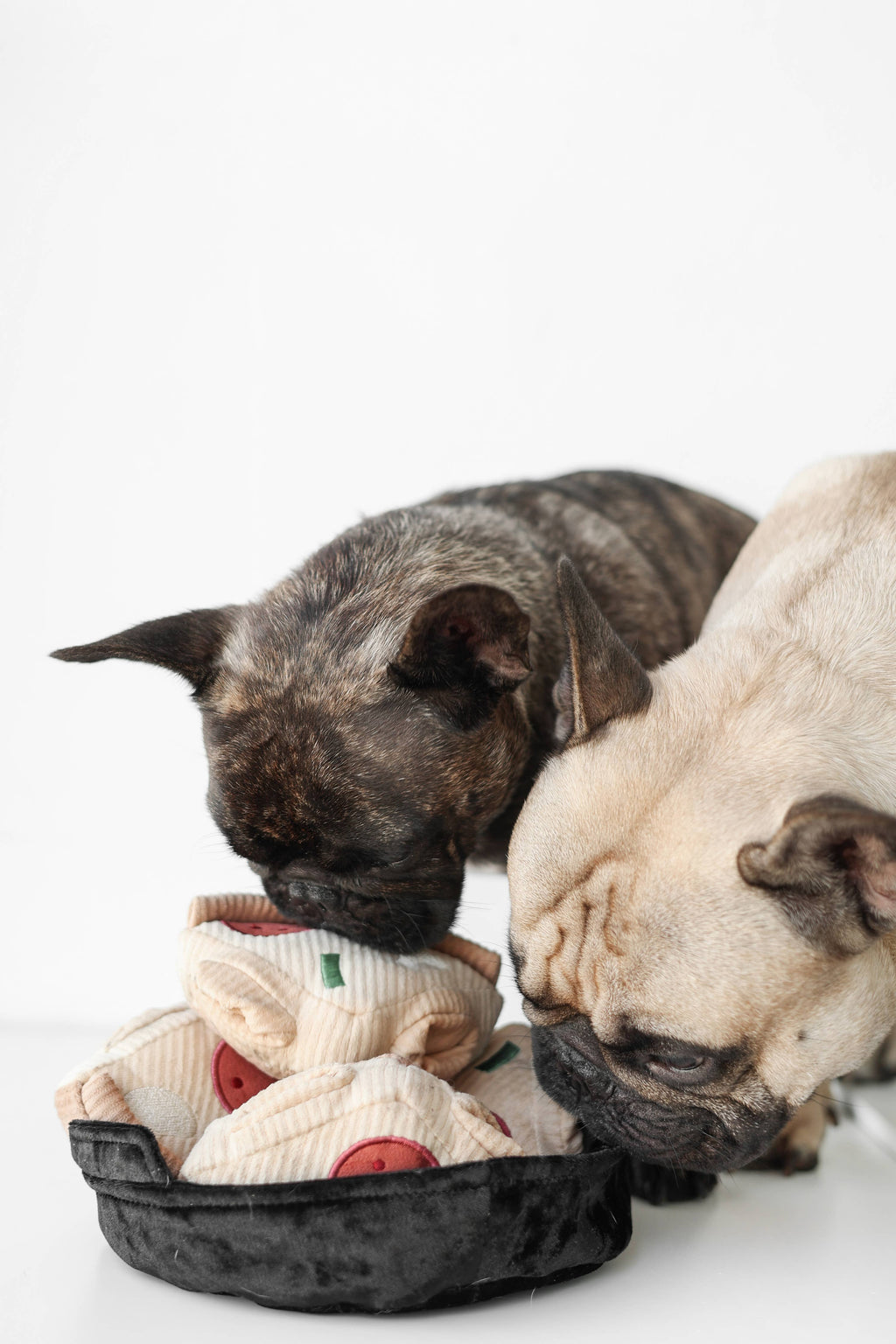 Deep Dish Pizza Dog Toy