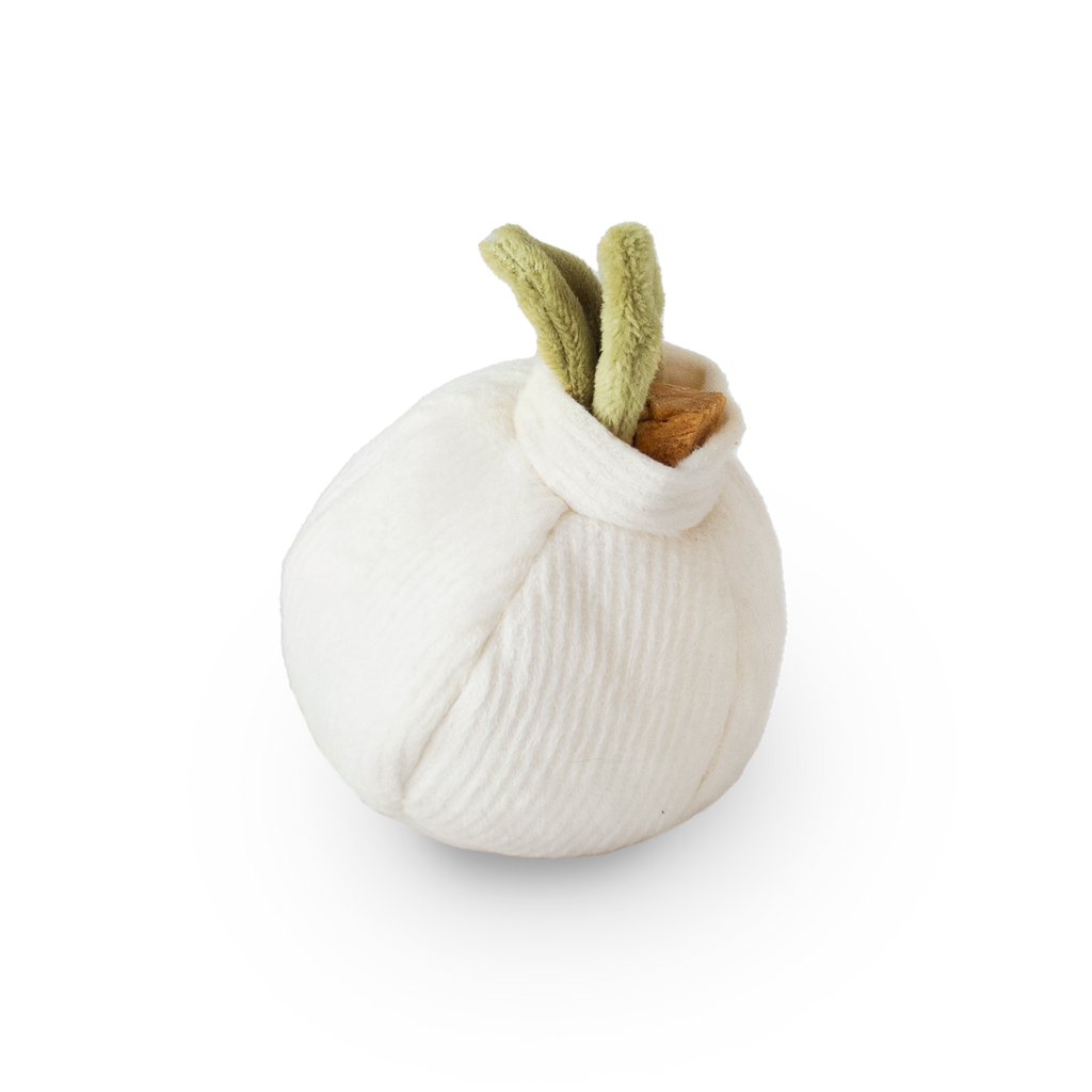 Garlic Enrichment Toy