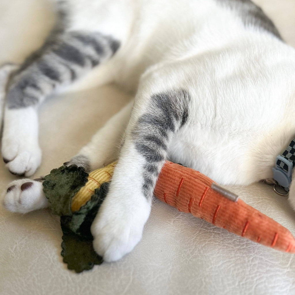 Kitty Baby Carrots Toy