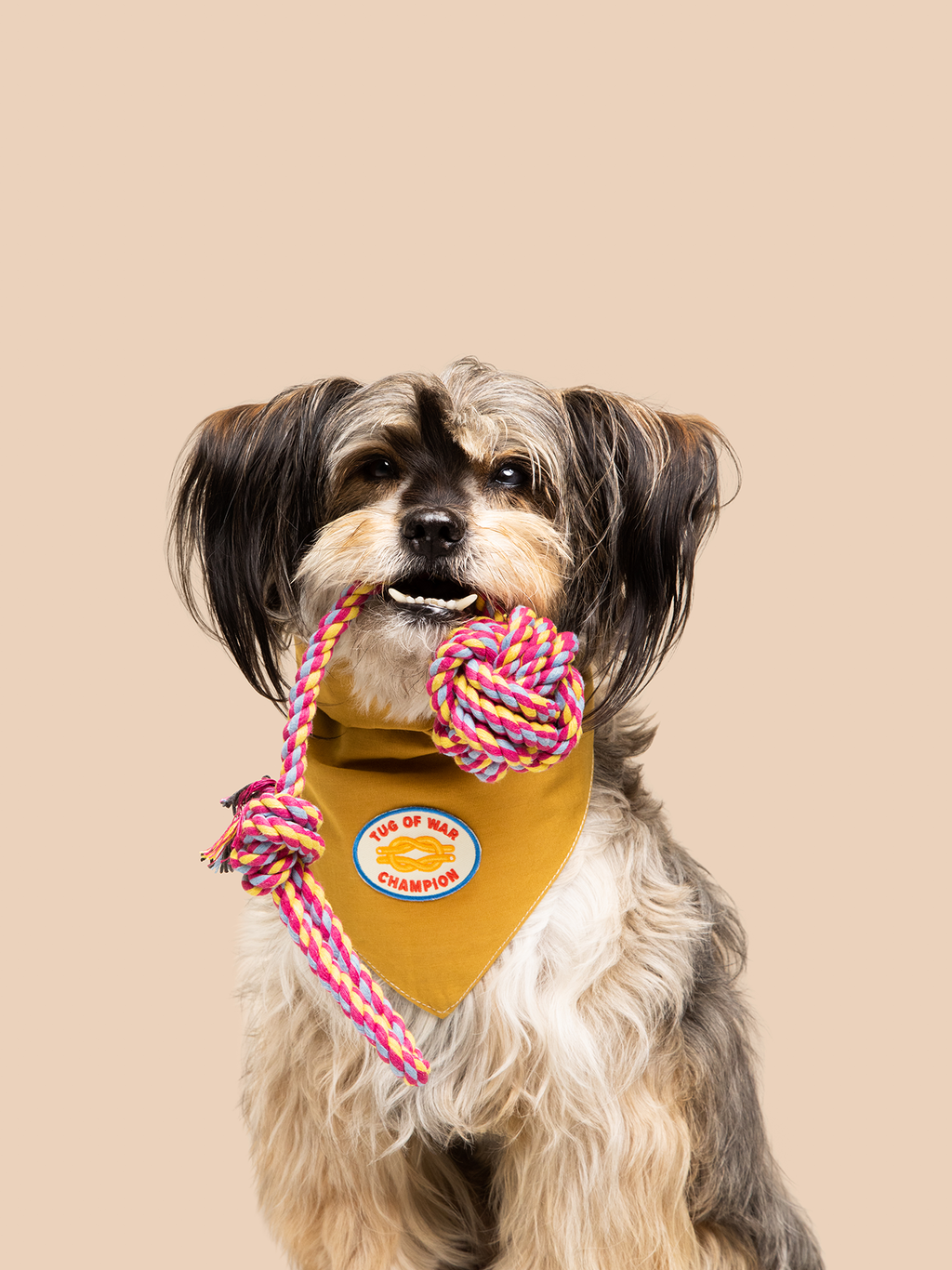 Tug of War Champion Iron-On Patch