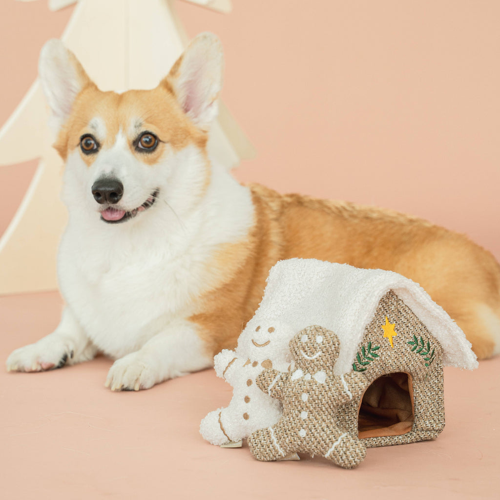Gingerbread House Enrichment Dog Toy