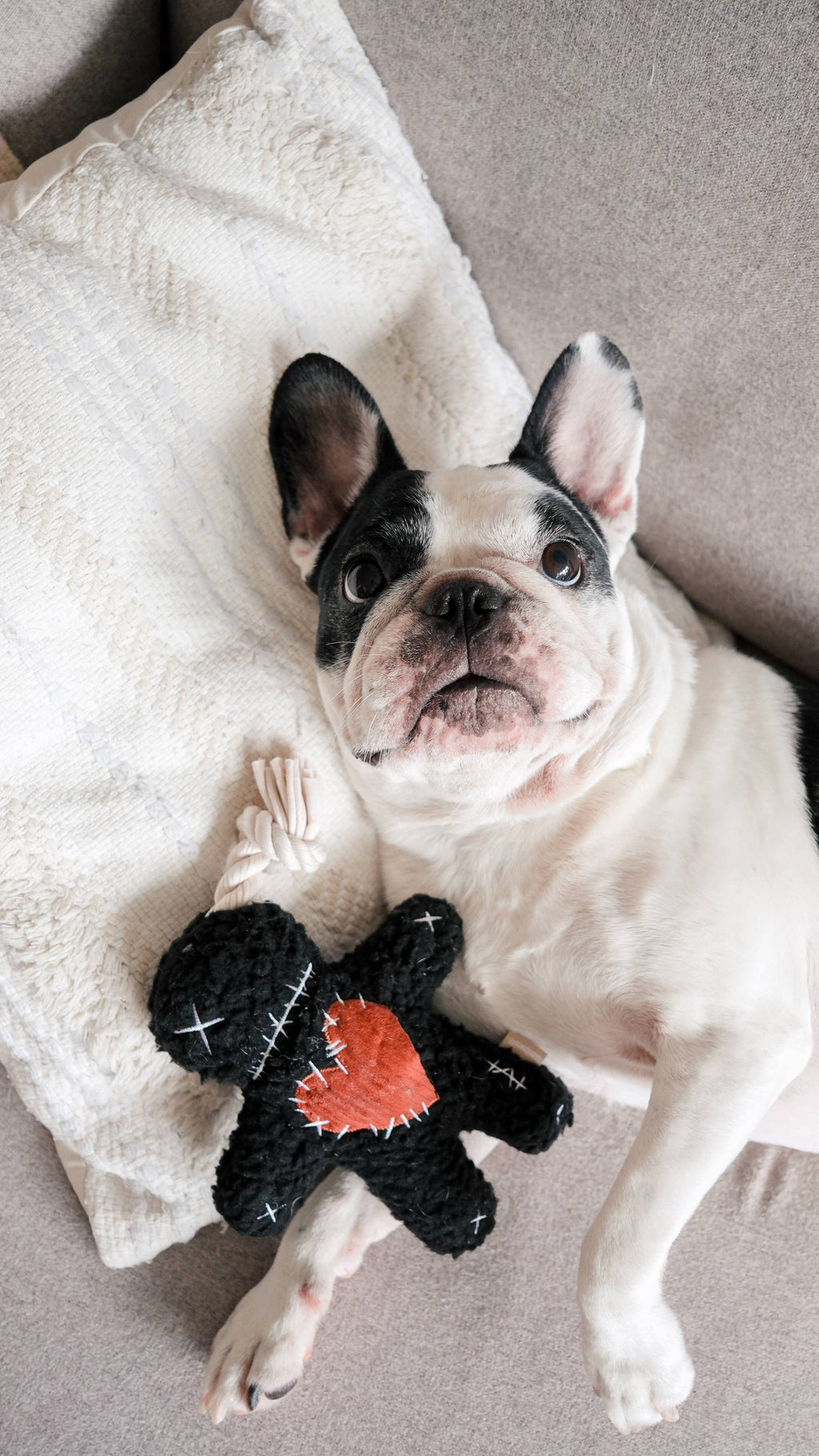 Voodoo Halloween Toy