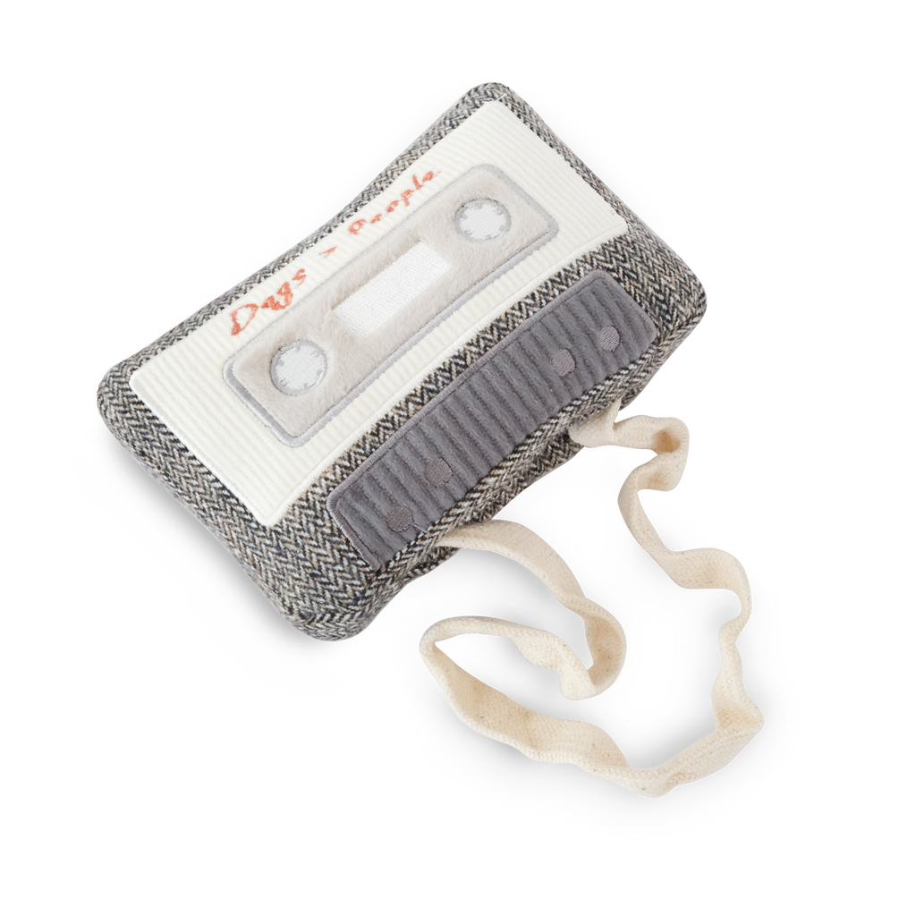 Cassette Enrichment Dog Toy