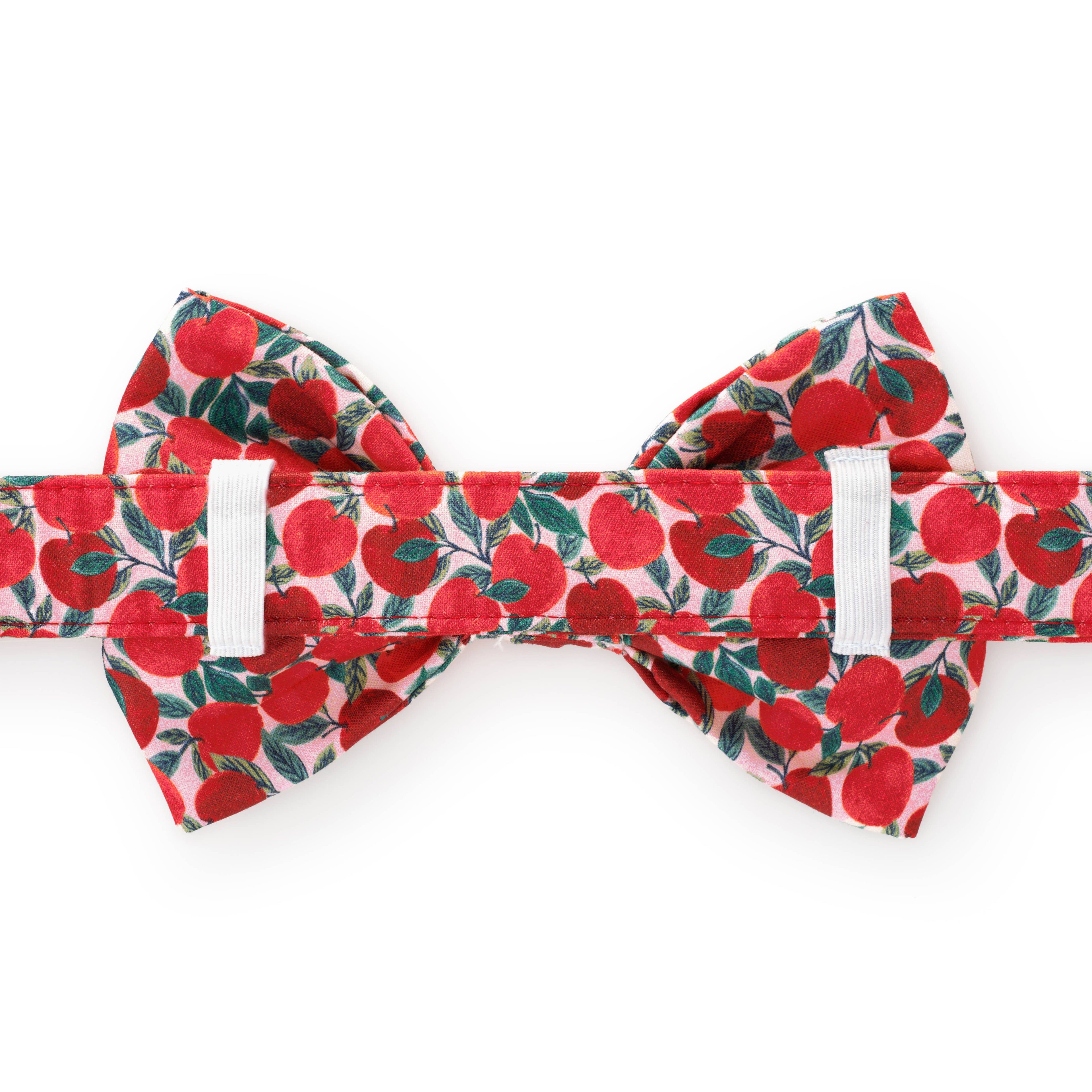 Dog Bow Tie