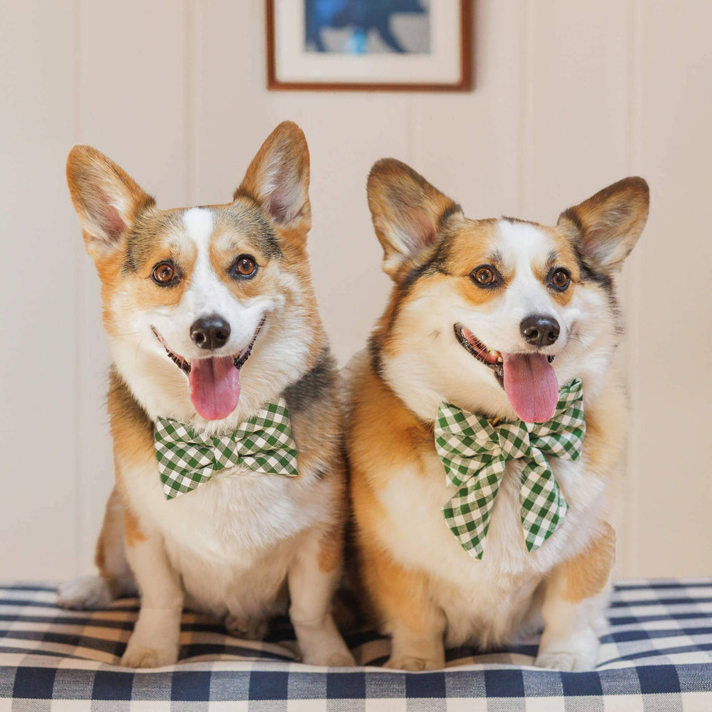 Dog Bow Tie