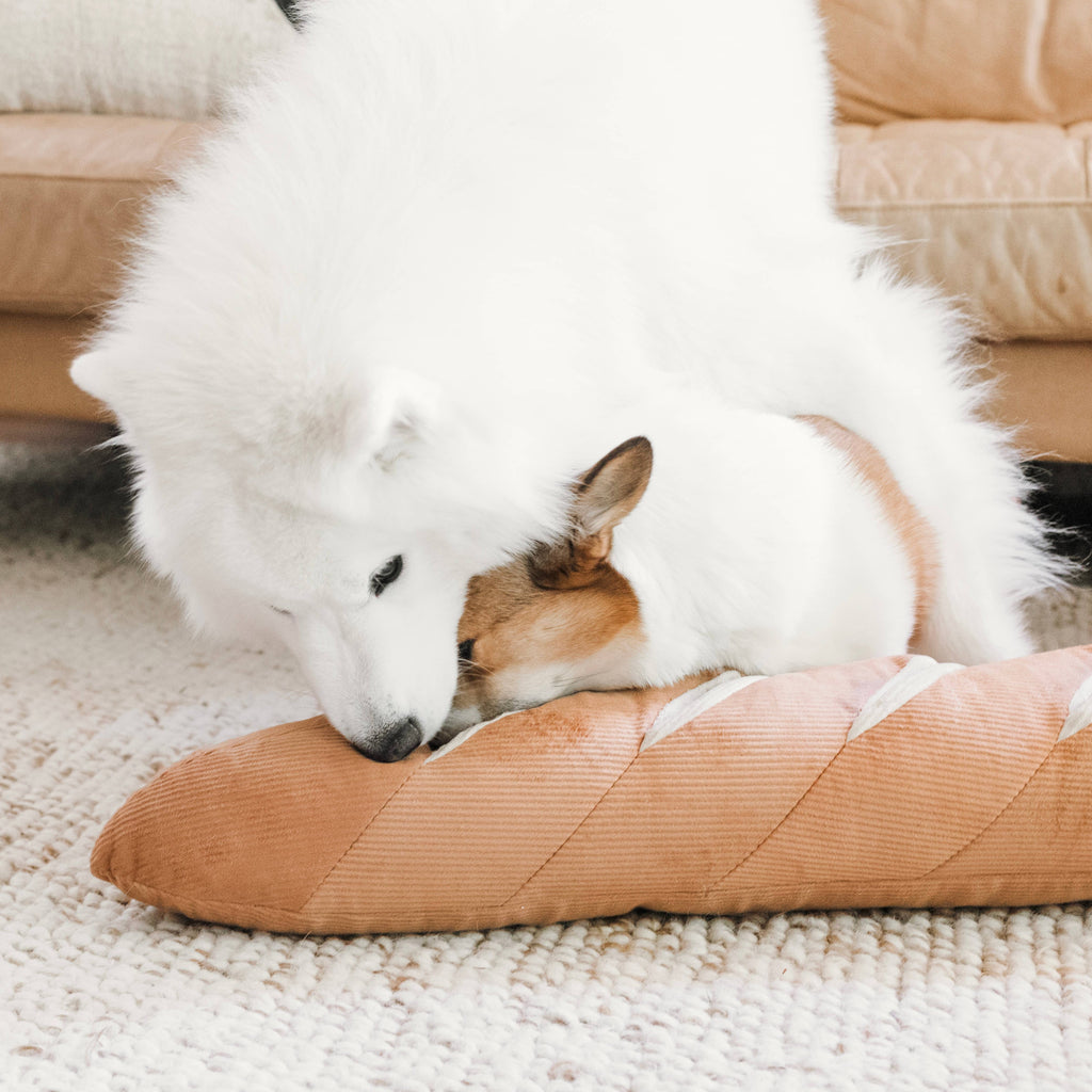Giant Baguette Dog Toy