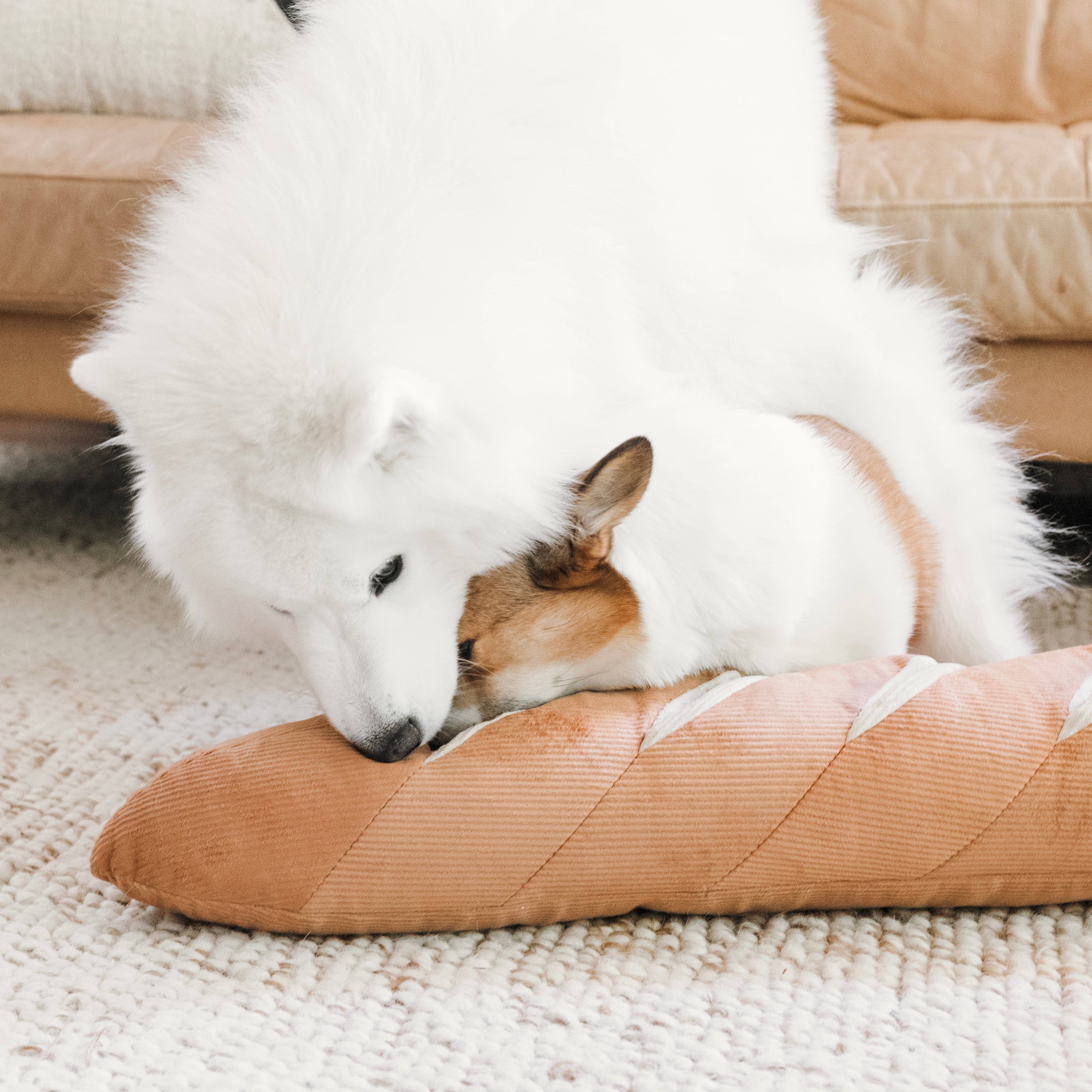 Giant Baguette Dog Toy