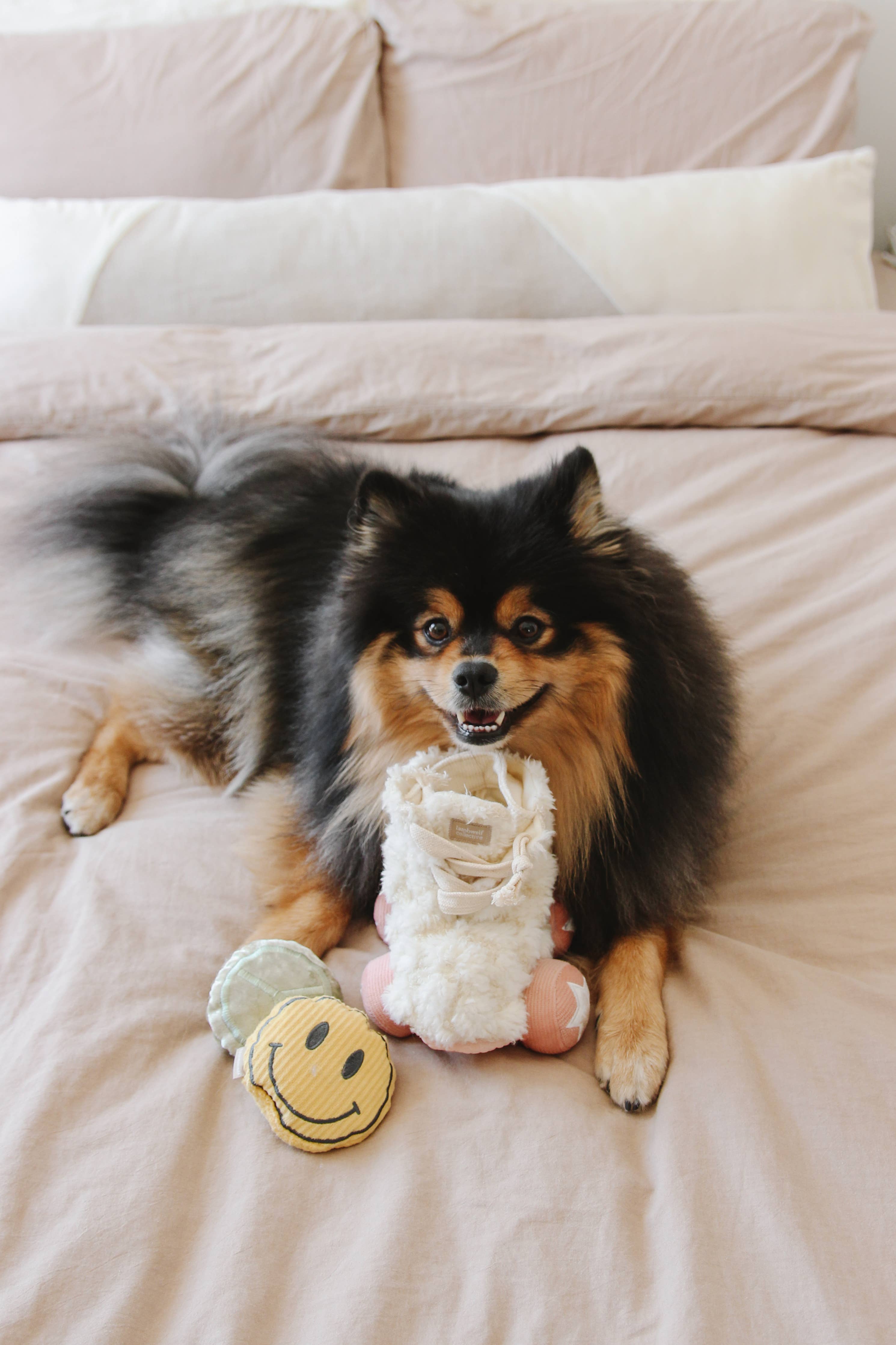 Roller Skate Enrichment Dog Toy