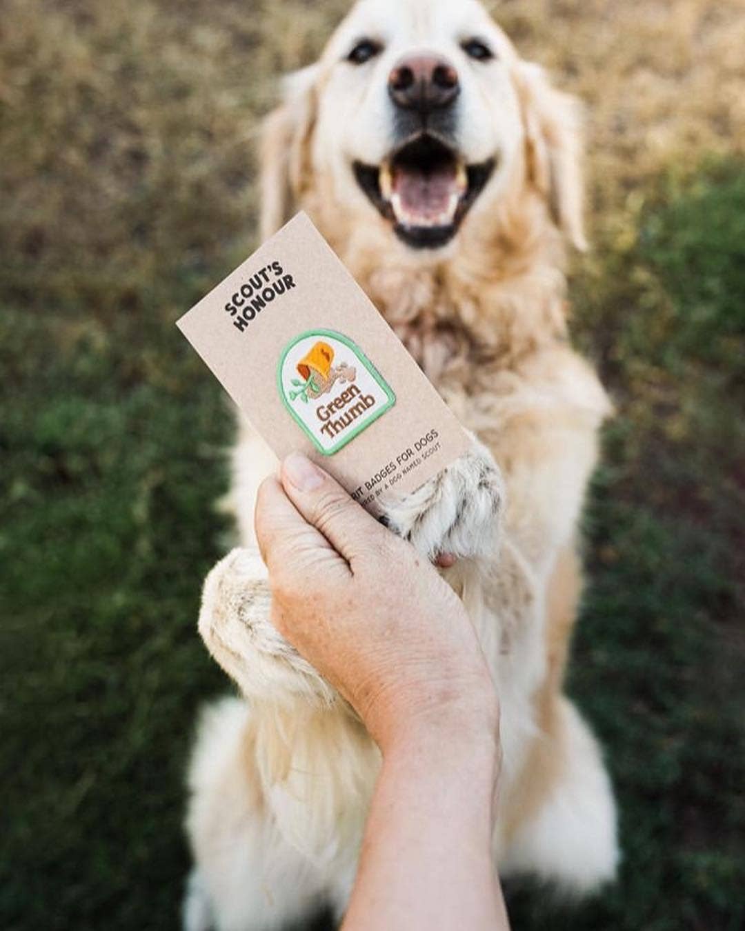 Green Thumb Iron-on Patch