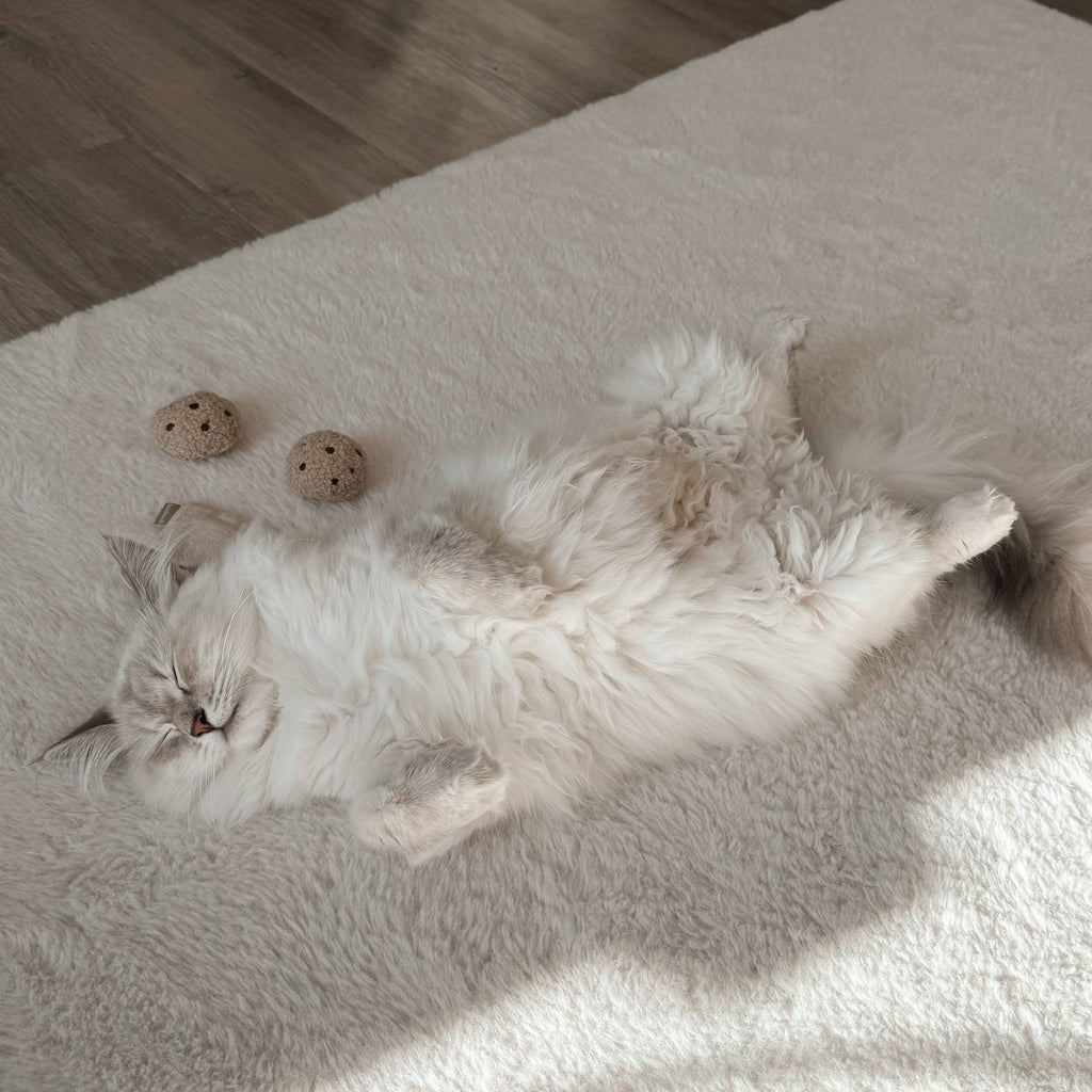 Kitty Tea Time Cat Toy