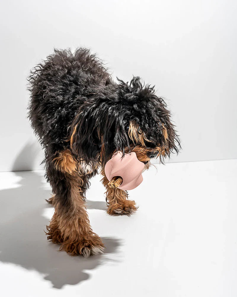 Twist Toss Toy - Standard