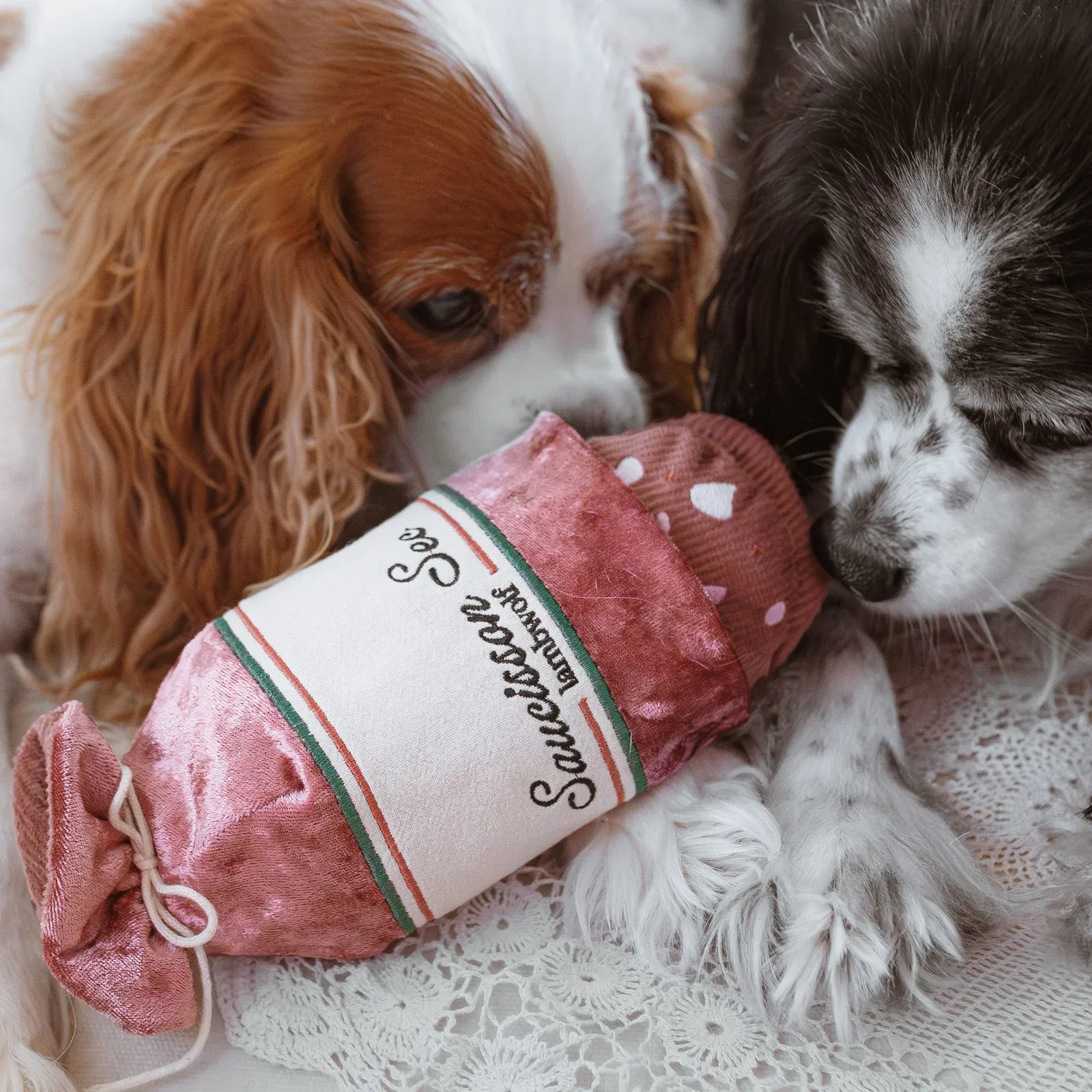 Saucisson Sec Enrichment Dog Toy