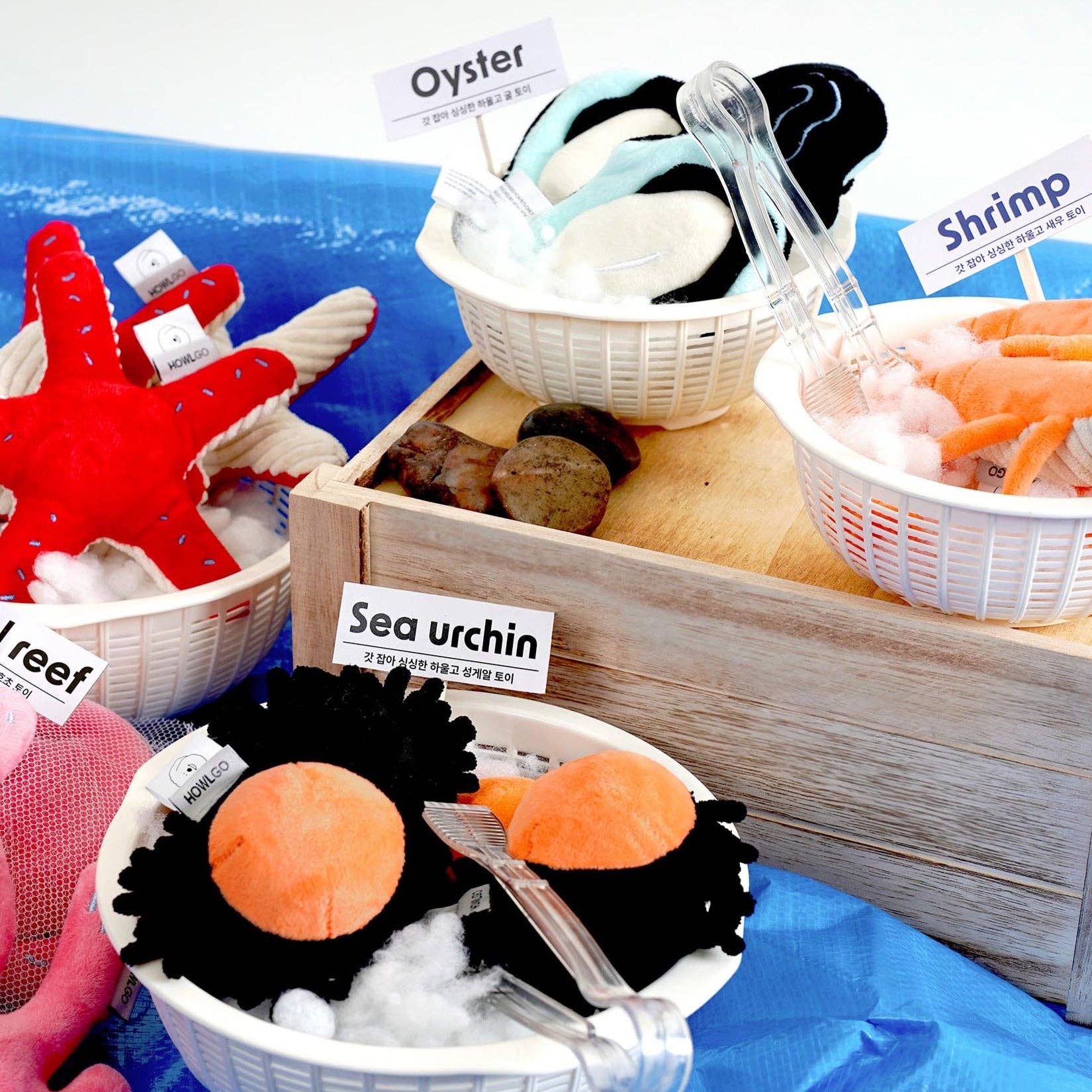 Fresh Sea Food Oyster Toy