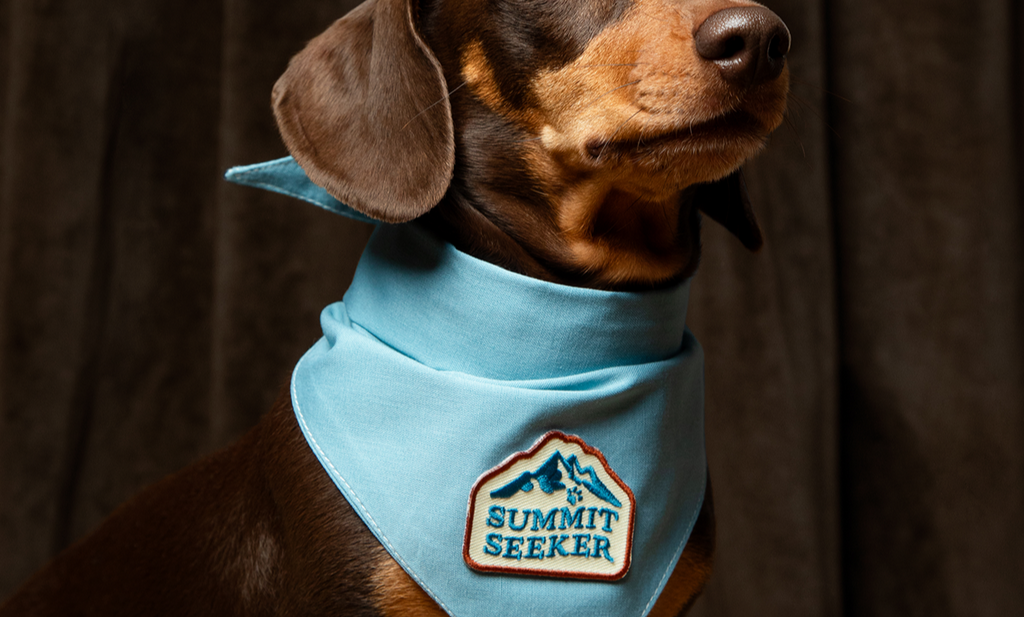 Summit Seeker Iron-On Patch