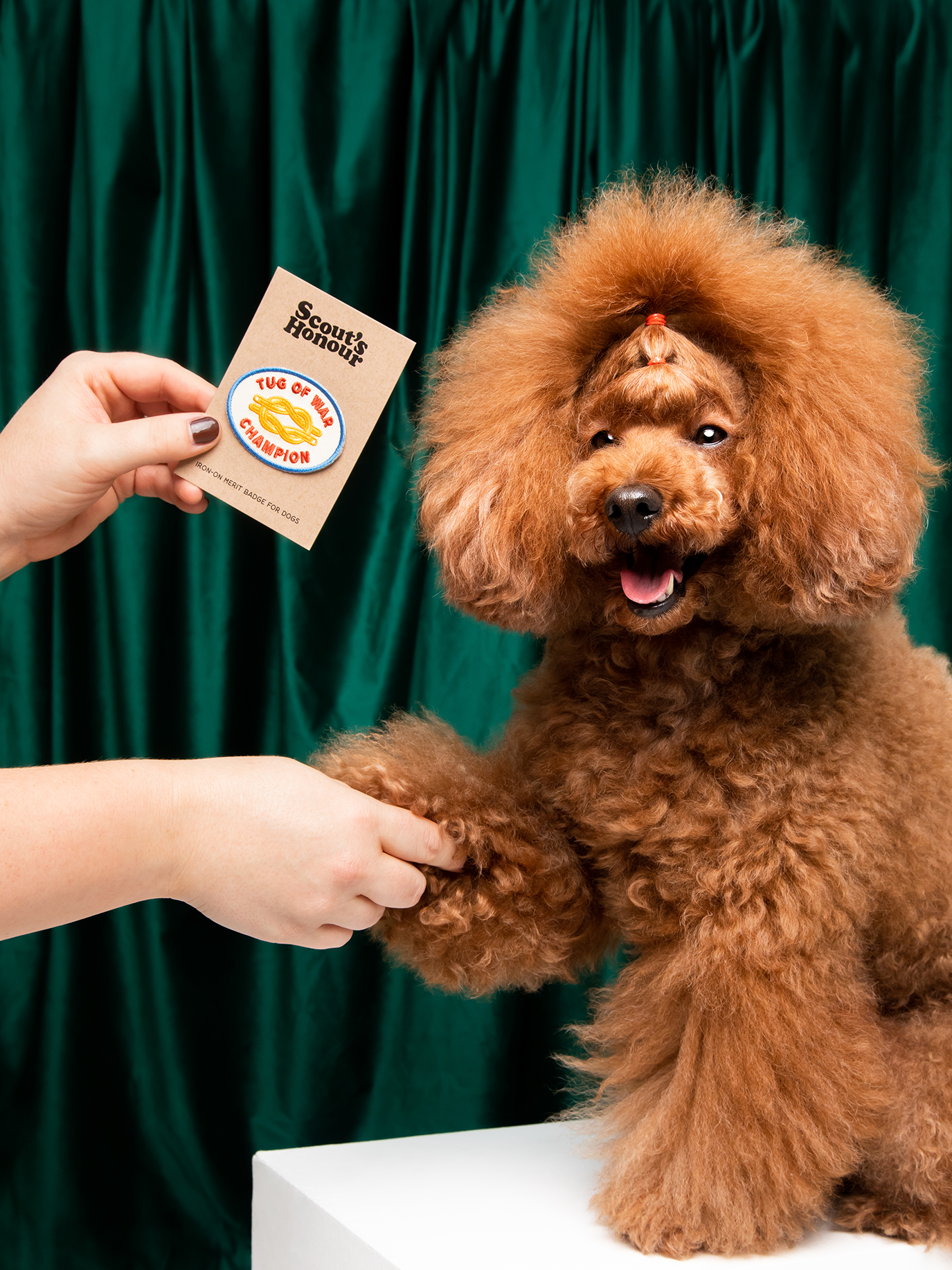 Tug of War Champion Iron-On Patch