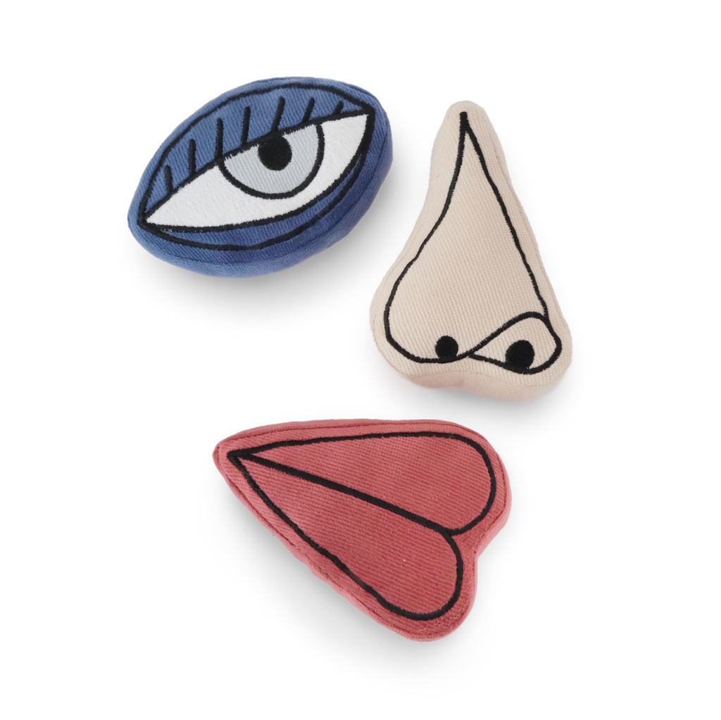 Picasso Snuffle Enrichment Dog Toy Set