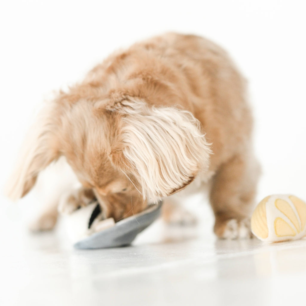 Gillardeau Enrichment Dog Toy