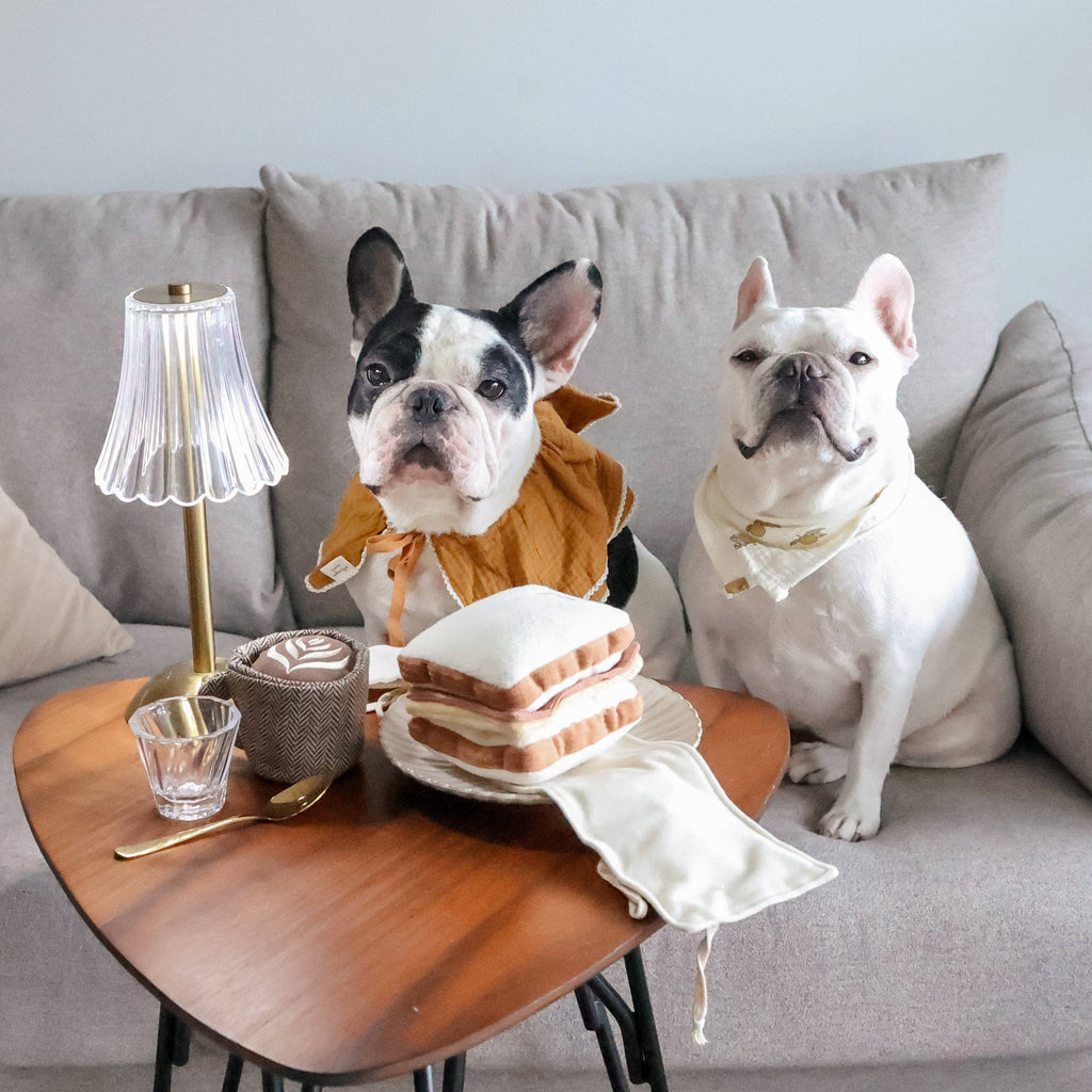 Latte Pop Enrichment Snuffle Toy